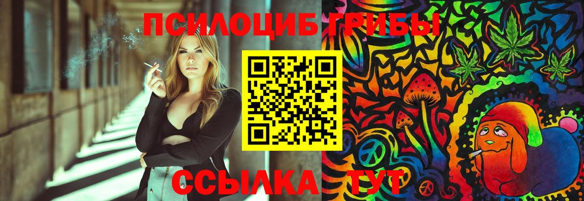 Псилоцибиновые грибы прущие грибы Тимашёвск