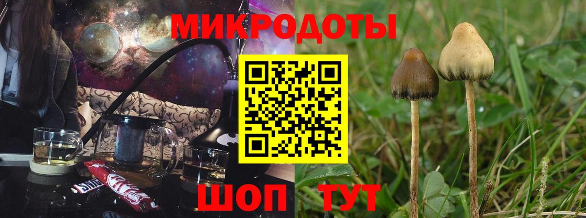 Тимашёвск  Псилоцибиновые грибы ЛСД  Вход с VPN  Псилоцибиновые грибы мицелий 